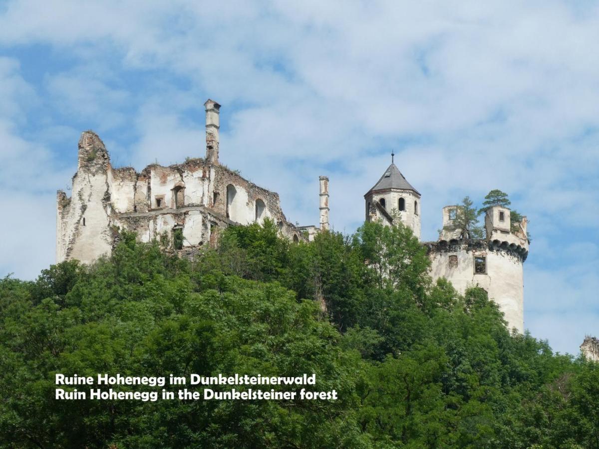 Gaestehaus Am Weinberg - Schlager Prinzersdorf Exterior foto